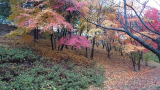 世界遺産の昌徳宮