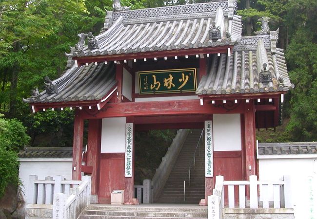 開運達磨大師　少林山 達磨寺　群馬県 高崎市（高さ約19㎝） 少林山達磨寺】予約・アクセス・割引クーポン - じゃらんnet