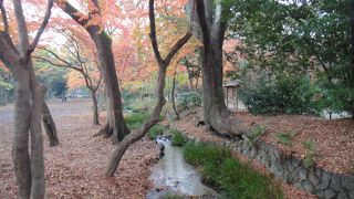 紅葉の時は是非！！