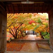 紅葉の絶景ポイント(丹波紅葉三山）