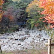 朝明渓谷　　素敵な水遊び場