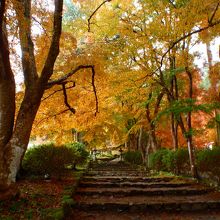 山門をくぐりぬけるとこの紅葉に出会えます