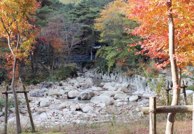 朝明渓谷　　素敵な水遊び場