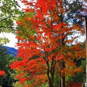 近場ですが紅葉の穴場的な場所です