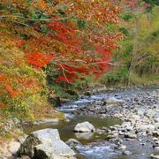 紅葉の穴場です