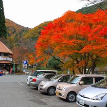 無料駐車場です。