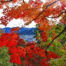 モミジ山から眺めた市内です