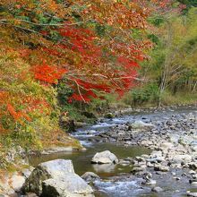 河原の紅葉です