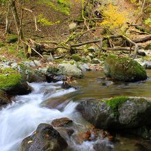 このような渓流が続いています