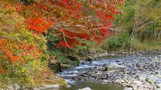 紅葉の穴場です