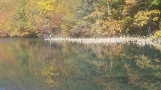 静寂なハイキングが楽しめる