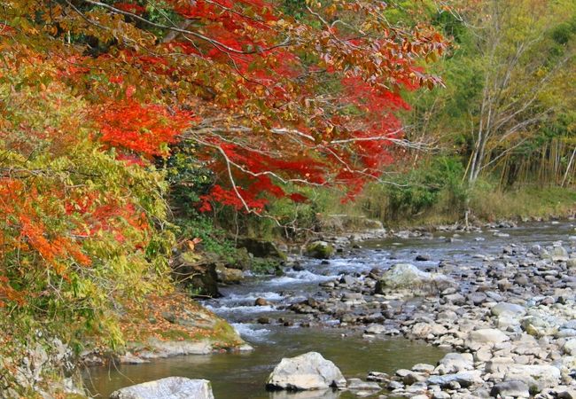 紅葉の穴場です