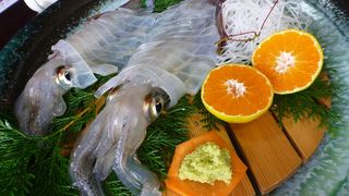 イカは生きています。