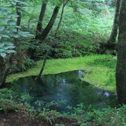 幾つもの言い伝えを残す座頭清水