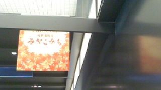 とても綺麗なお店が並んでいました