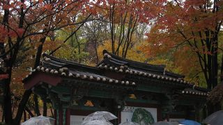 毎時３０分スタート