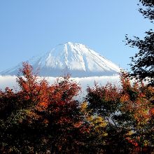 絶景の富士山と紅葉。