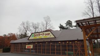 手作りジェラートは美味しい