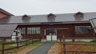 展示資料のほかに木工の手作り体験ができる