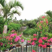 水牛と花の楽園でのんびり～♪