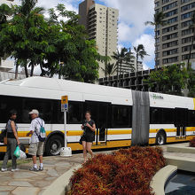 ビショップミュージアム方面へ行く連接バス