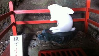 鵜戸の大神様に縁の動物はうさぎ