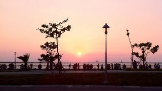 レンタサイクルで短時間でも楽しめる！