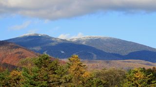 次第に白く覆われてていきます