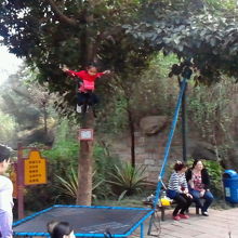 子供が浮いてる！…訳ではありません