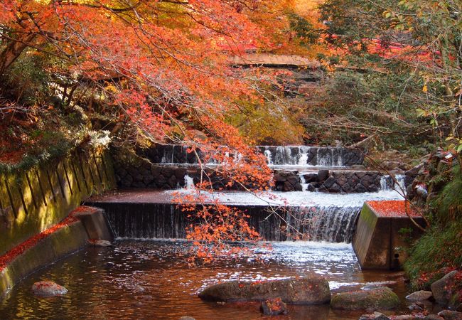 岩屋堂公園