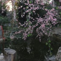 庭園にあった池