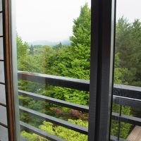 客室からの眺め