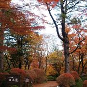 紅葉の穴場