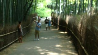 ここに来るために京都に来ました！！