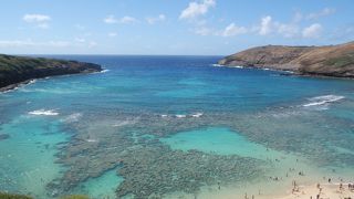 駐車場もトイレも混雑します