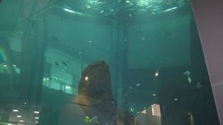 ベイサイドプレス博多にあります