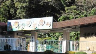 普通の動物園です