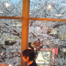 この景色はめったに見られません