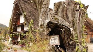 いかにも日本～って感じで良かった！次回はもっとゆっくりしたい