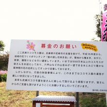 ボランティアの方と募金でコスモス園は成り立っています。