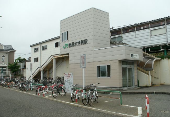 新潟大学前駅