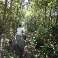 エレファントトレッキング