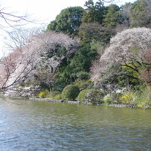 桜の季節は特に素晴らしい