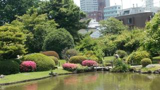 小石川植物園