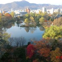 ９Ｆの部屋からです。まだ紅葉が綺麗でした！