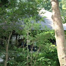 お庭も広いです。