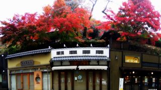秋には美しい紅葉が楽しめるお寺