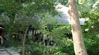 町田にこんなところがあるなんて。