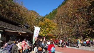 土日はバスが大混雑