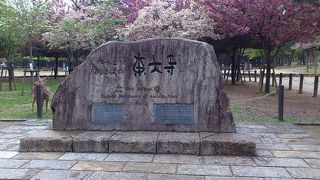 奈良といえば東大寺！